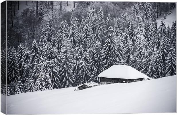 Wooden house in the snow Canvas Print by Cristian Mihaila