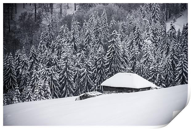 Wooden house in the snow Print by Cristian Mihaila