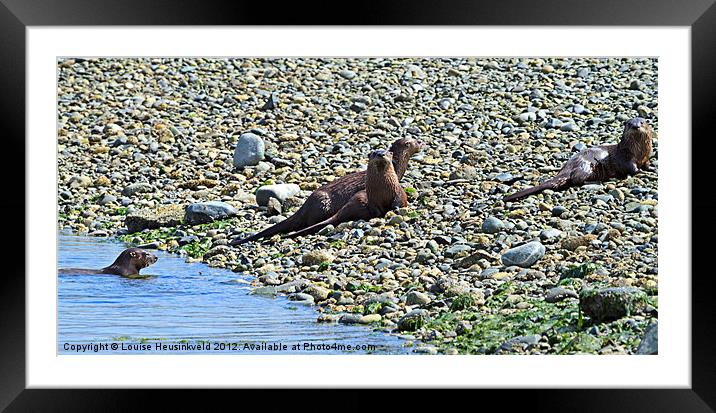 Otters on the Beach Framed Mounted Print by Louise Heusinkveld