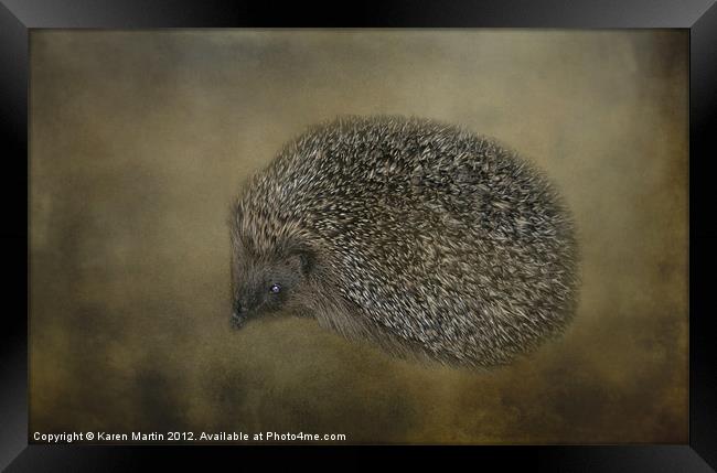 Hedgehog Framed Print by Karen Martin