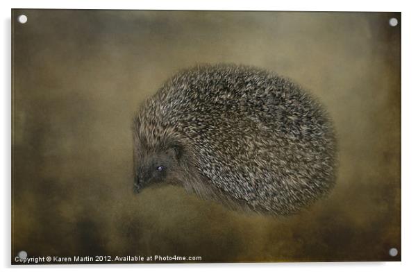 Hedgehog Acrylic by Karen Martin