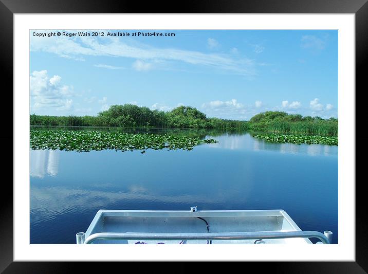 Airboat ride on the Everglades Framed Mounted Print by Roger Wain