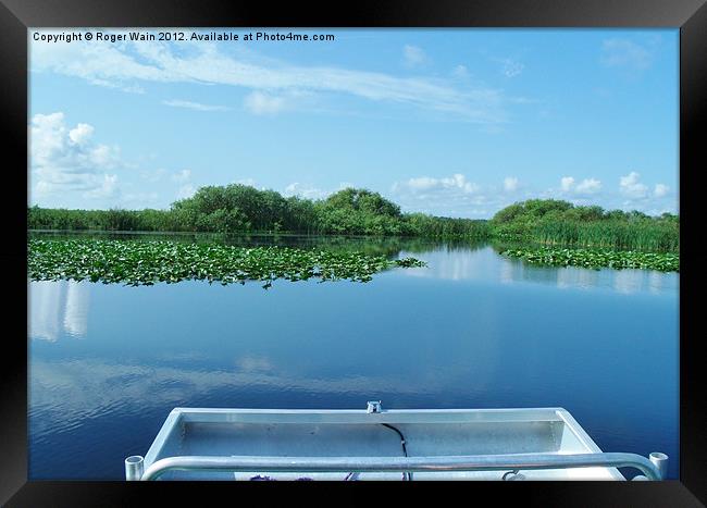 Airboat ride on the Everglades Framed Print by Roger Wain
