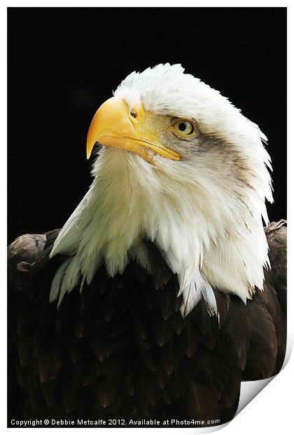 American Bald Eagle Print by Debbie Metcalfe