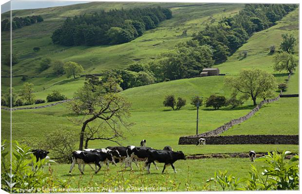 Bishopdale, Yorkshire Dales National Park Canvas Print by Louise Heusinkveld