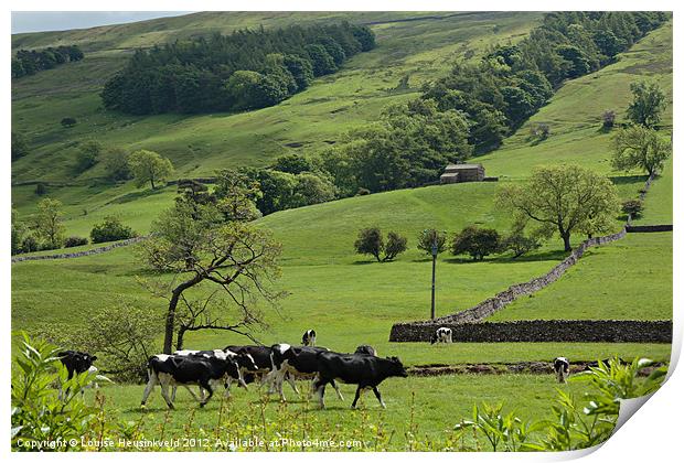 Bishopdale, Yorkshire Dales National Park Print by Louise Heusinkveld