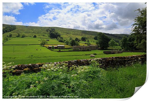 Bishopdale, Yorkshire Dales National Park Print by Louise Heusinkveld
