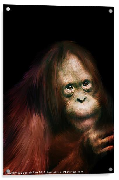 Orangutan Acrylic by Doug McRae