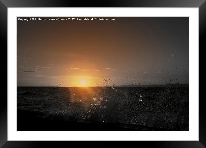 Clevedon Sea Front Framed Mounted Print by Anthony Palmer-Greene