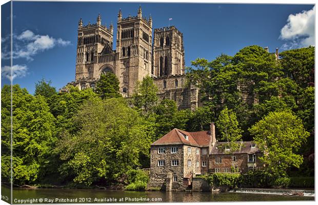 Sunny Durham Canvas Print by Ray Pritchard