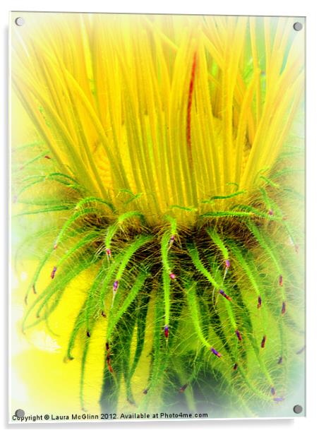 Pineapple Acrylic by Laura McGlinn Photog