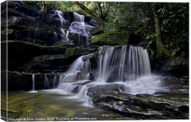 Somersby Cascades Canvas Print by Barry Cocklin