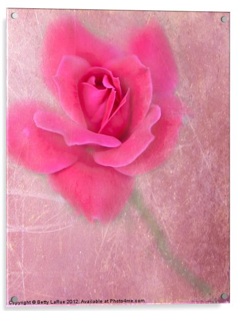 Pink Rose Acrylic by Betty LaRue