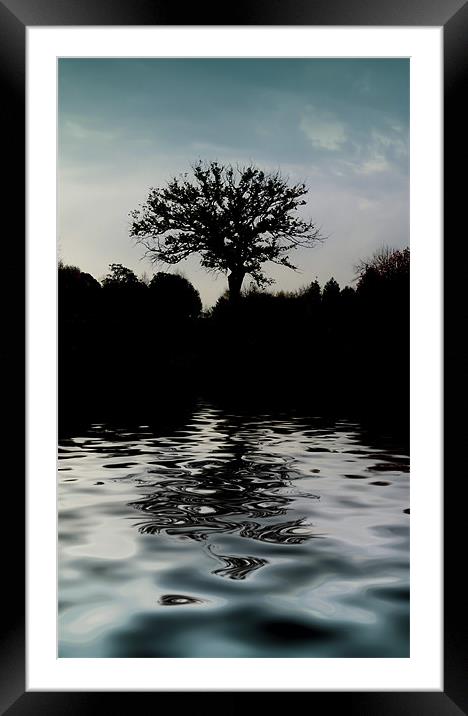 evening blues Framed Mounted Print by Heather Newton