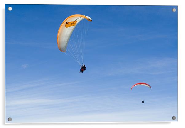Paragliding in Switzerland Acrylic by Scott Simpson