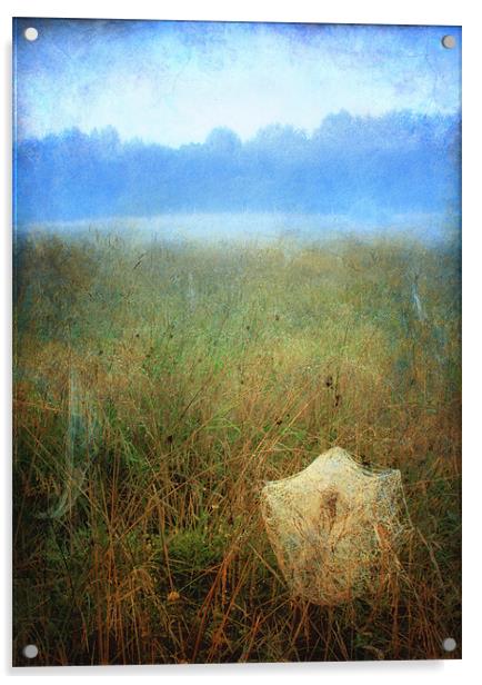 Morning dew Acrylic by Chris Manfield