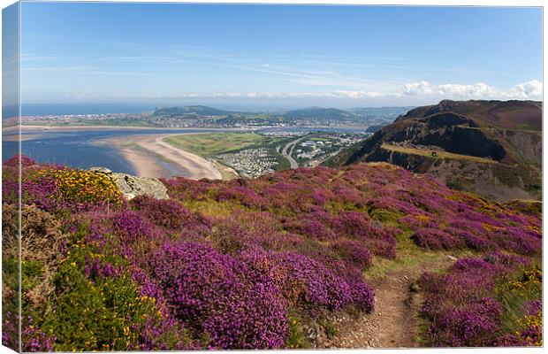 Views from Conwy Mountain Canvas Print by Gail Johnson