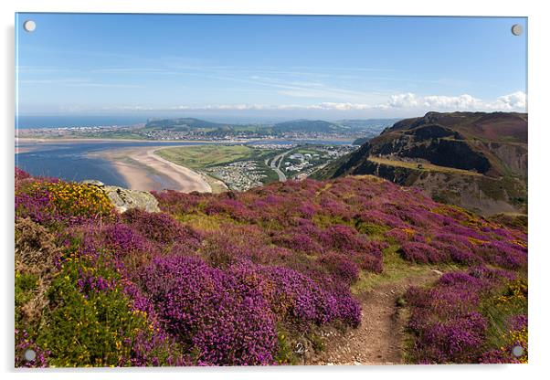 Views from Conwy Mountain Acrylic by Gail Johnson