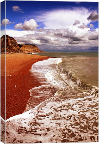 Hastings Beach Canvas Print by Anthony Michael 