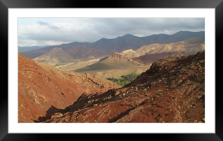 Wild Desert Landscape in April Framed Mounted Print by Shervin Moshiri