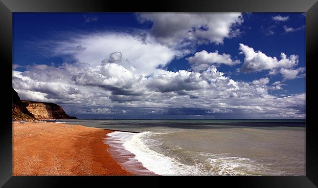 Hastings Beach  Framed Print by Anthony Michael 