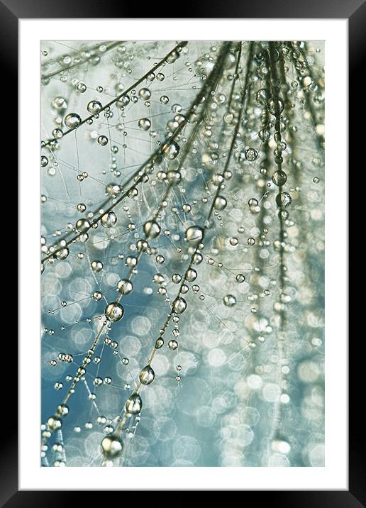 Fairy rain Framed Mounted Print by Sharon Johnstone
