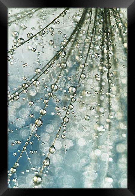 Fairy rain Framed Print by Sharon Johnstone