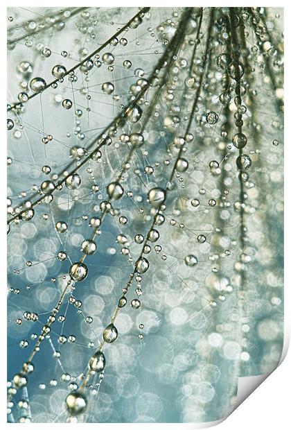 Fairy rain Print by Sharon Johnstone