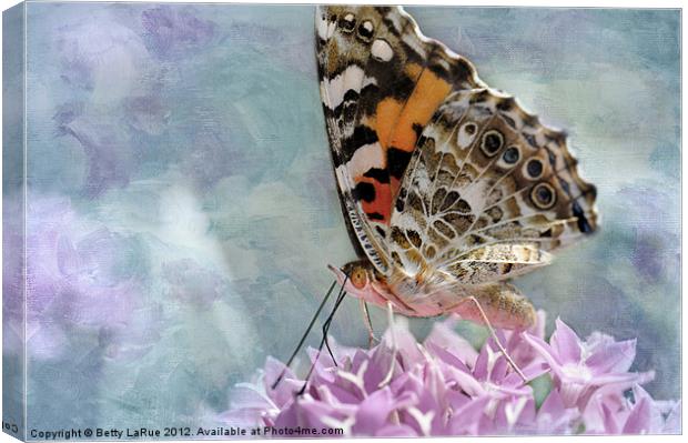Painted Lady Butterfly Canvas Print by Betty LaRue