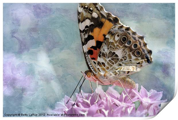 Painted Lady Butterfly Print by Betty LaRue