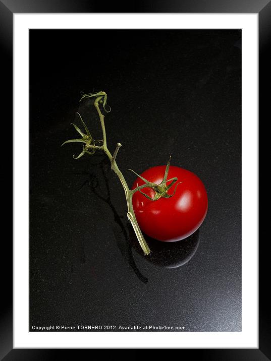 Red tomato in branch Framed Mounted Print by Pierre TORNERO