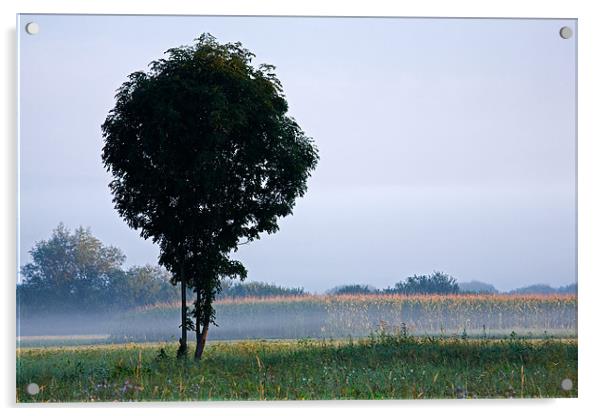 Standing out from the rest Acrylic by Ian Middleton