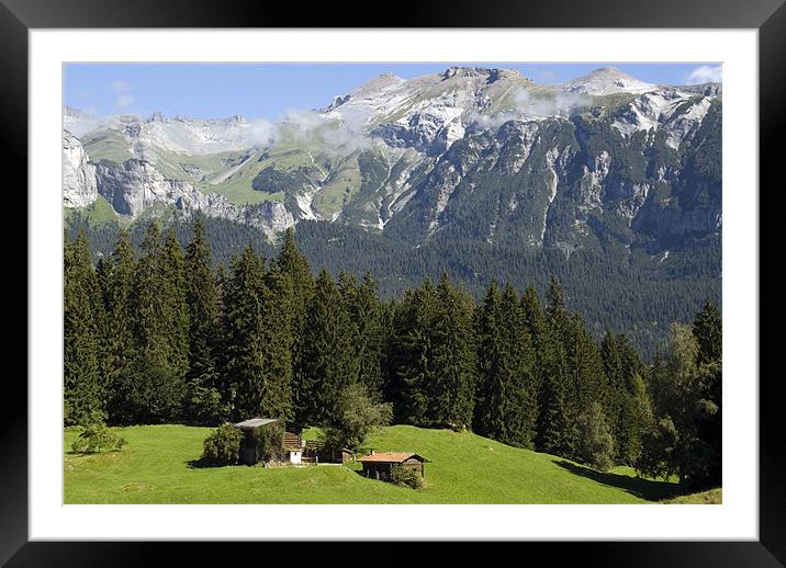 Swiss Meadow Framed Mounted Print by Scott Simpson