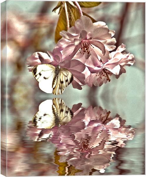 Vintage reflections Canvas Print by Sharon Lisa Clarke