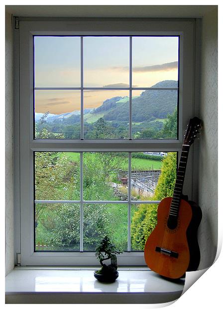 Bonsai and Spanish Guitar Window Print by philip clarke