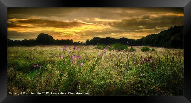 A GOLDEN SUNSET Framed Print by Rob Toombs
