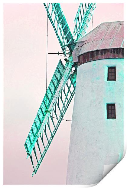 Windmills Of Your Mind Print by Noreen Linale