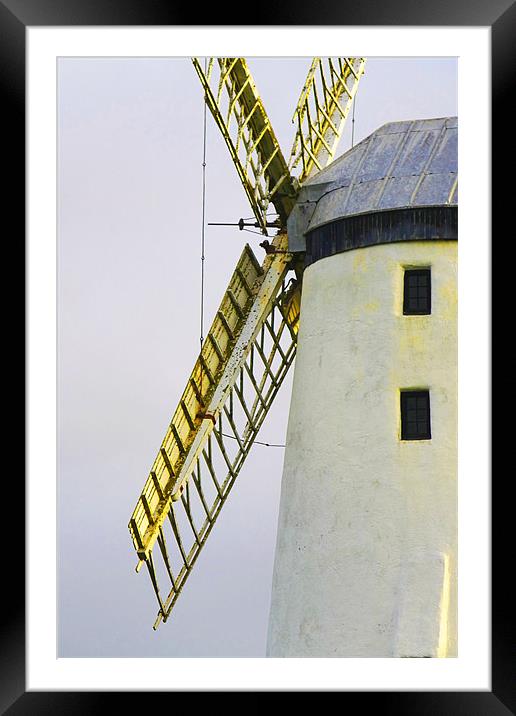 Windmills Of Your Mind II Framed Mounted Print by Noreen Linale