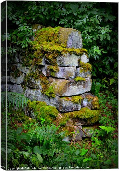 Mossy Wall End Canvas Print by Colin Metcalf