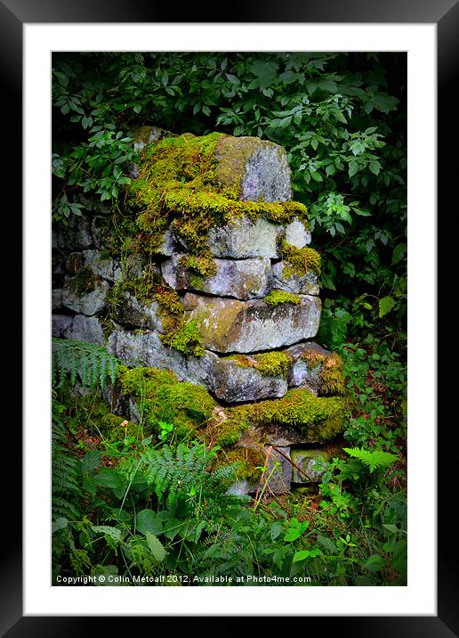 Mossy Wall End Framed Mounted Print by Colin Metcalf