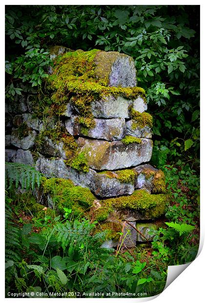 Mossy Wall End Print by Colin Metcalf