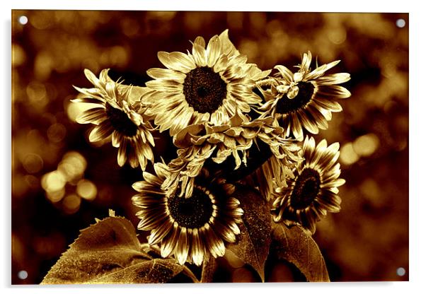 Giant Sunflowers Acrylic by Kathleen Stephens