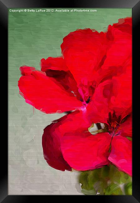 Red Geranium Framed Print by Betty LaRue