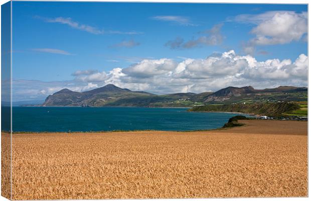 Porth Dinllaen Canvas Print by Gail Johnson