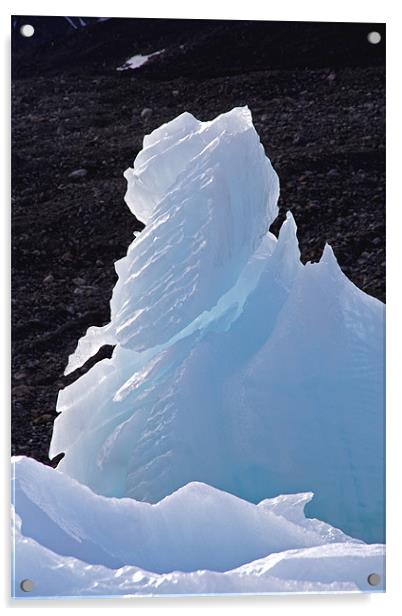Glaciers Acrylic by Gail Johnson