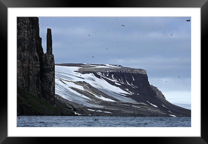 Svalbard Coastline Framed Mounted Print by Gail Johnson