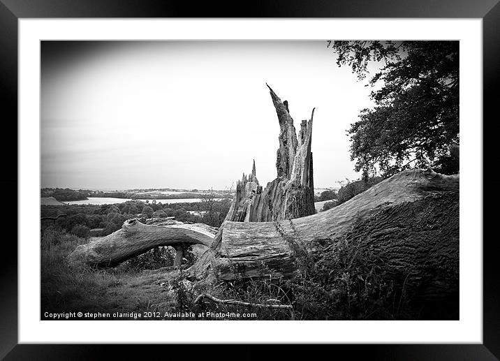 dead tree Framed Mounted Print by stephen clarridge
