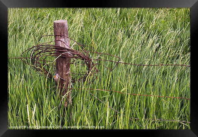 Barbed wire coil on a fencepost Framed Print by Louise Heusinkveld