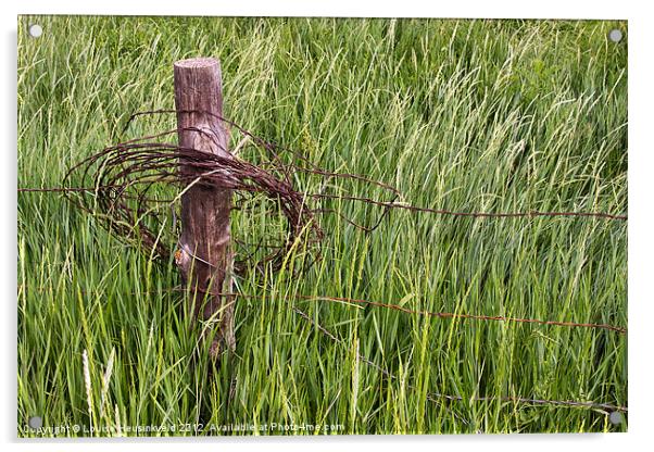 Barbed wire coil on a fencepost Acrylic by Louise Heusinkveld