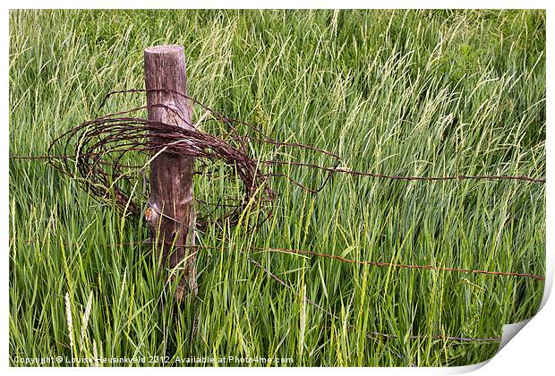 Barbed wire coil on a fencepost Print by Louise Heusinkveld